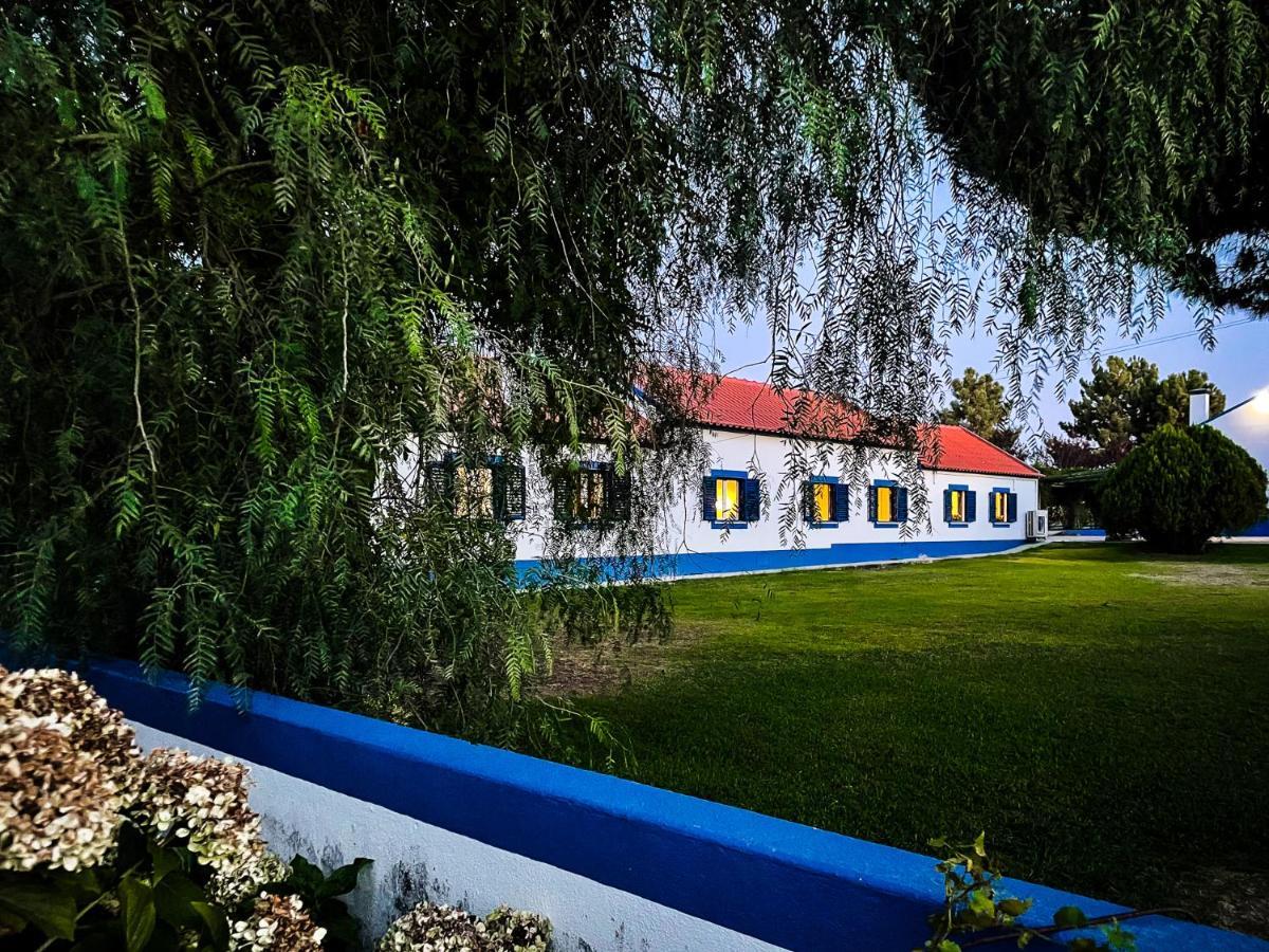 Quinta Do Cutato - Beatriz Guest House - Sotao Santo Estevao  Buitenkant foto