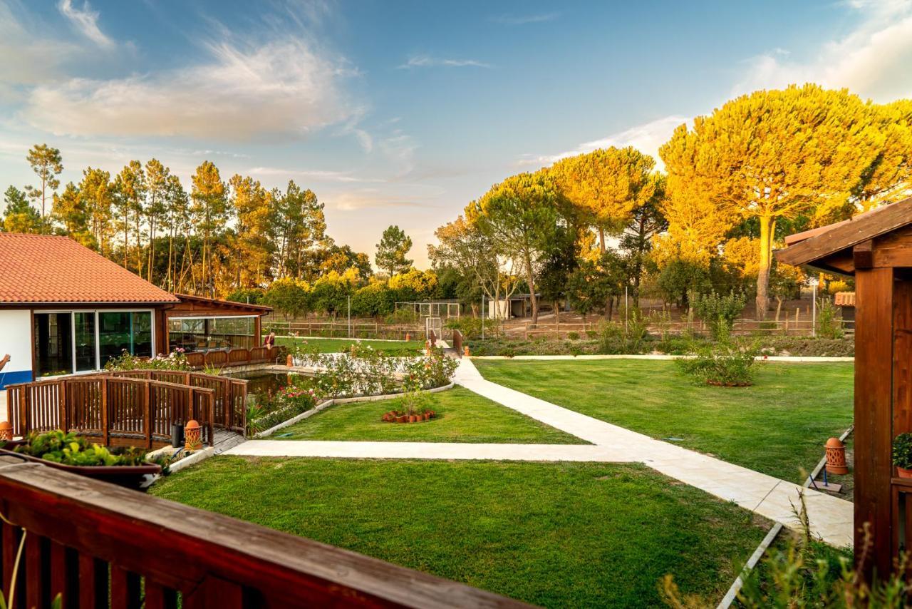 Quinta Do Cutato - Beatriz Guest House - Sotao Santo Estevao  Buitenkant foto